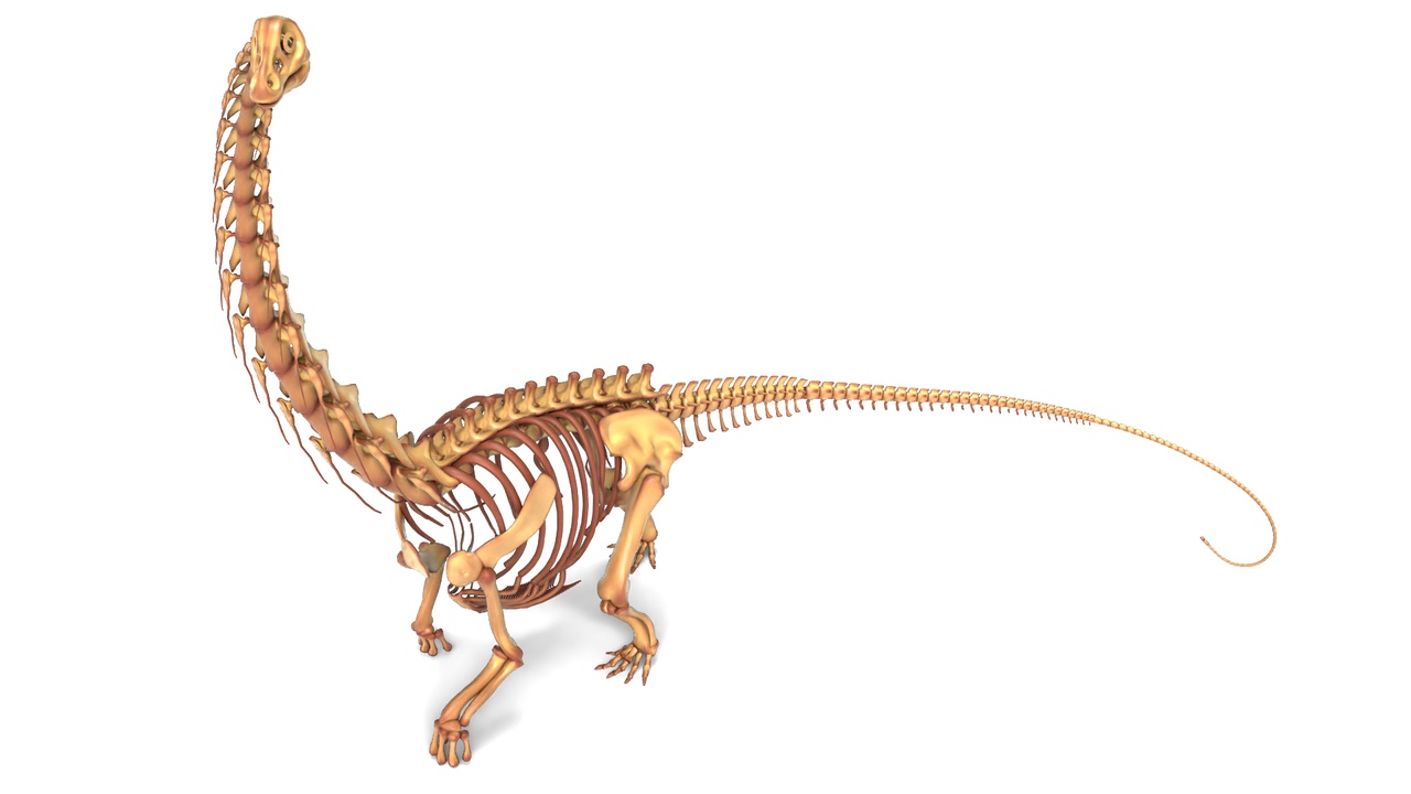 Media 1 for listing Argentinosaurus Rigged Skeleton – Massive Prehistoric Creature