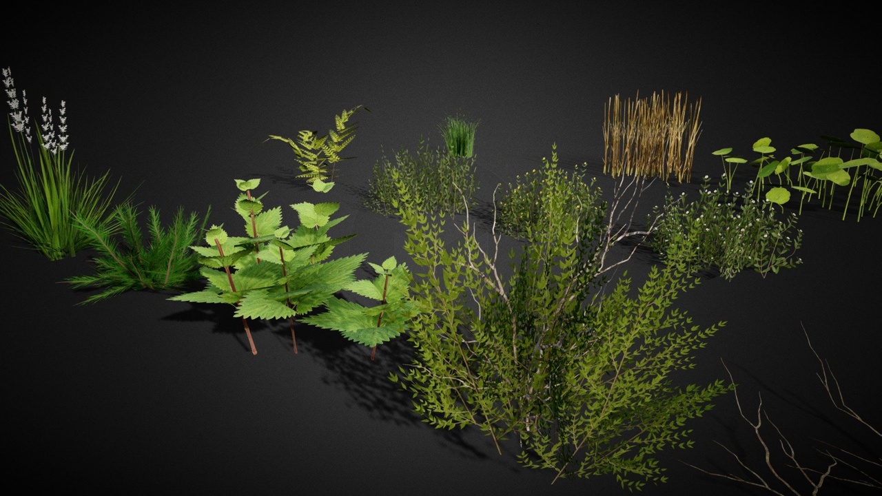 出品Ground Cover Foliage Asset Packのメディア1