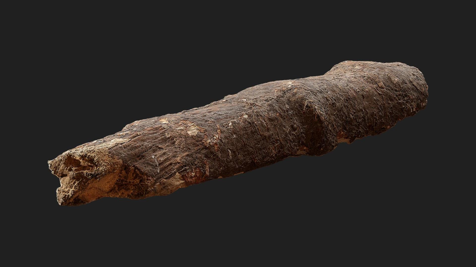 Tree Debrei Tree Debris | Fab