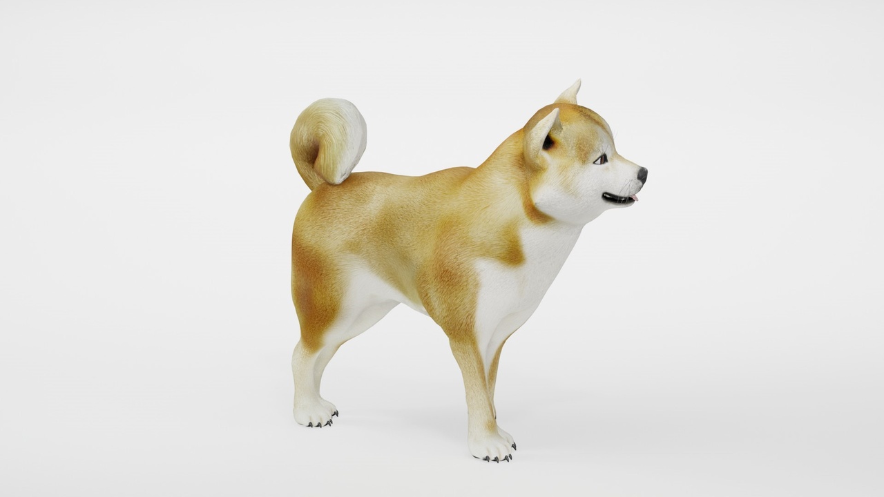 Media 1 for listing Realistic Animated Rigged Shiba Inu Dog