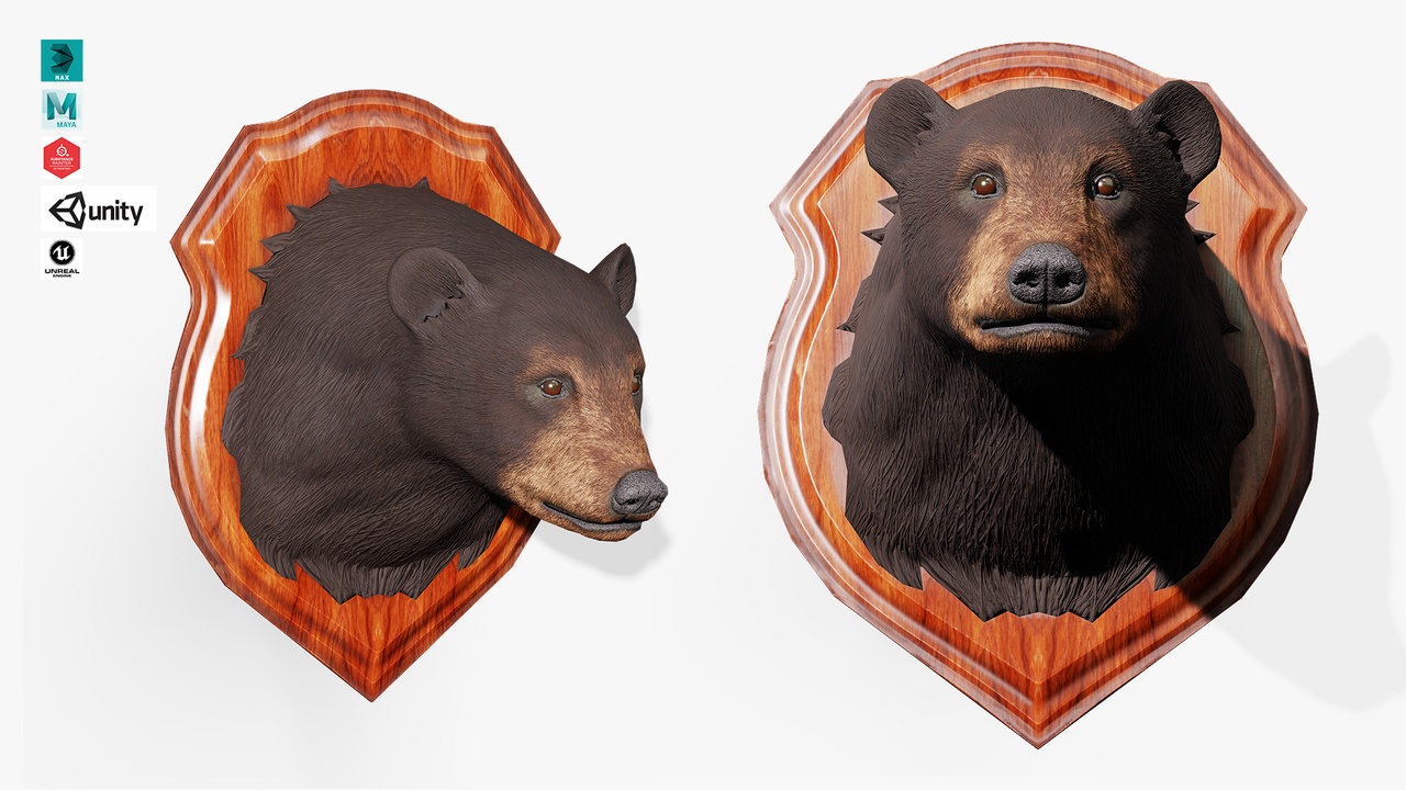 Media 1 for listing Trophy Bear