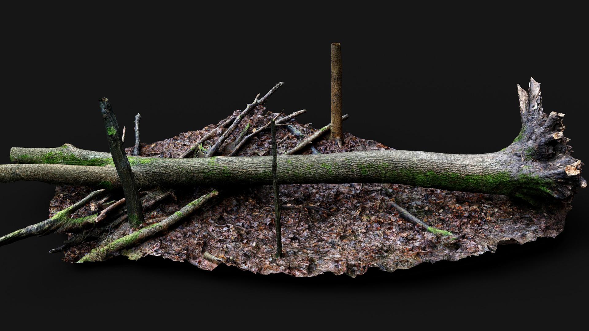 forest ground mossy tree trunks debris pt12 photogrammetry | Fab