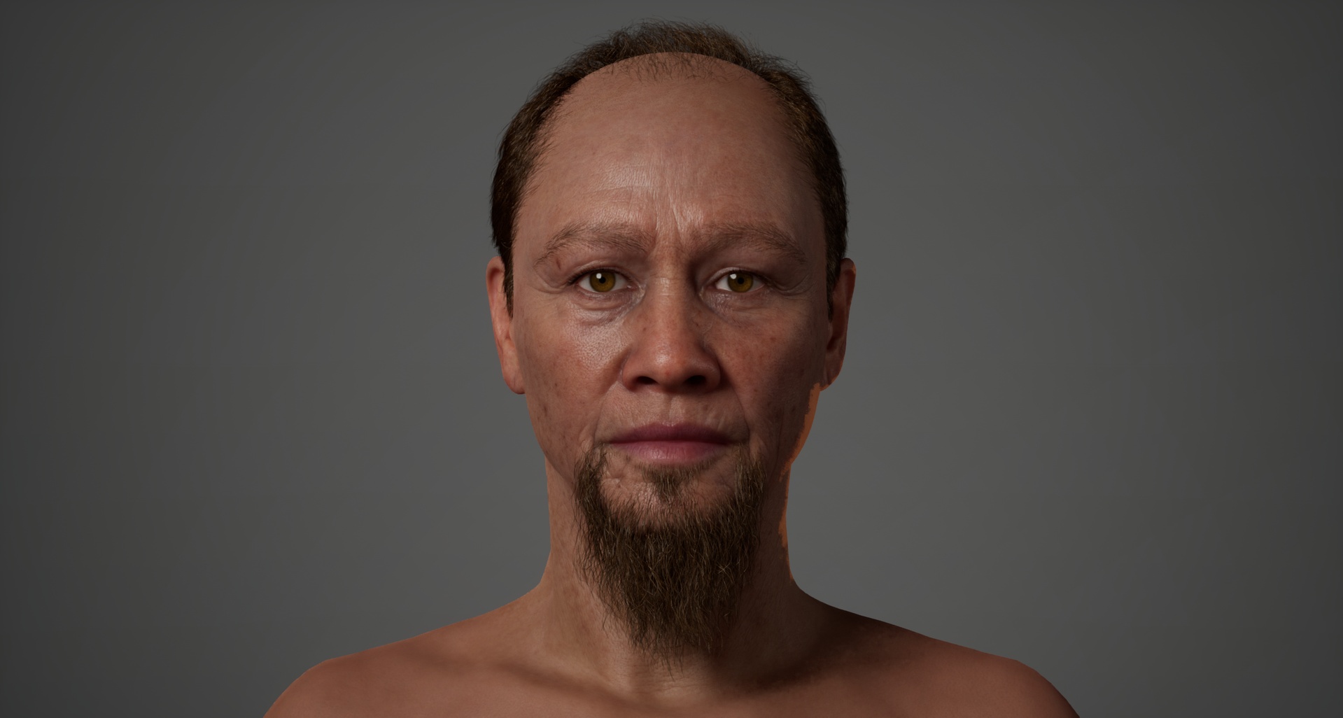 Media 1 for listing Gerald - Editable MetaHuman Character Preset