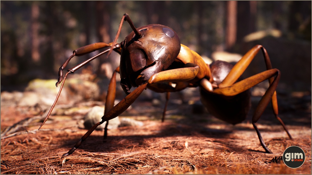Media 1 for listing Animalia - Carpenter Ant