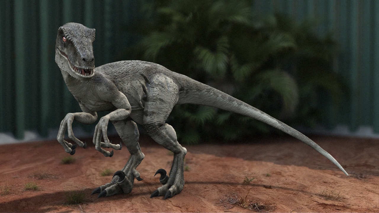 Media 1 for listing Velociraptor