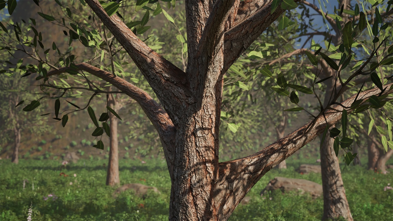 Media 1 for listing Realistic Low Poly Tree Bundle 9