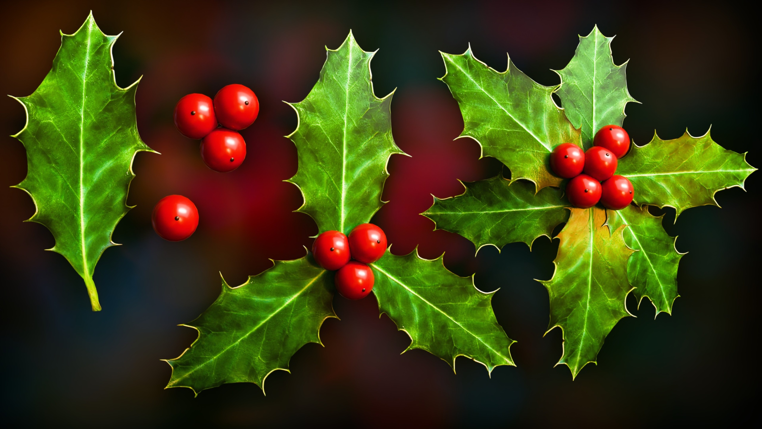 Media 1 for listing Christmas Holly Berries & Leaves