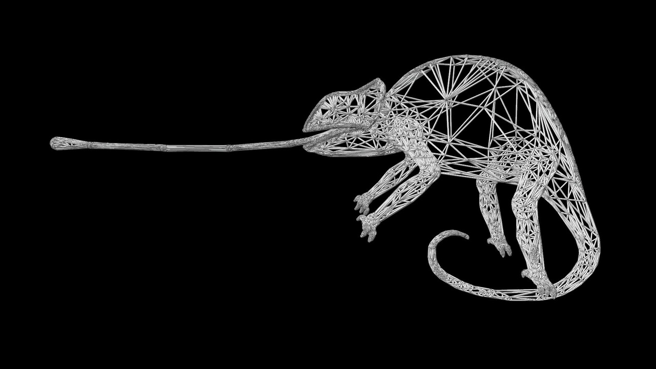 出品GECKO WIREFRAMEのメディア1