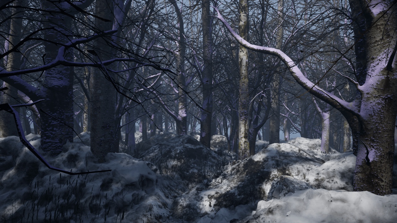 Media 1 for listing Cold Forest