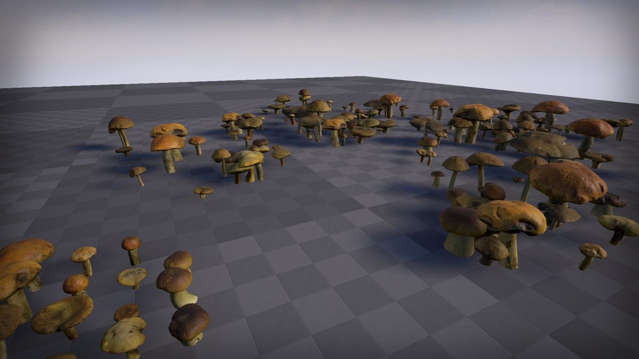Media 1 for listing Forest Mushrooms Pack