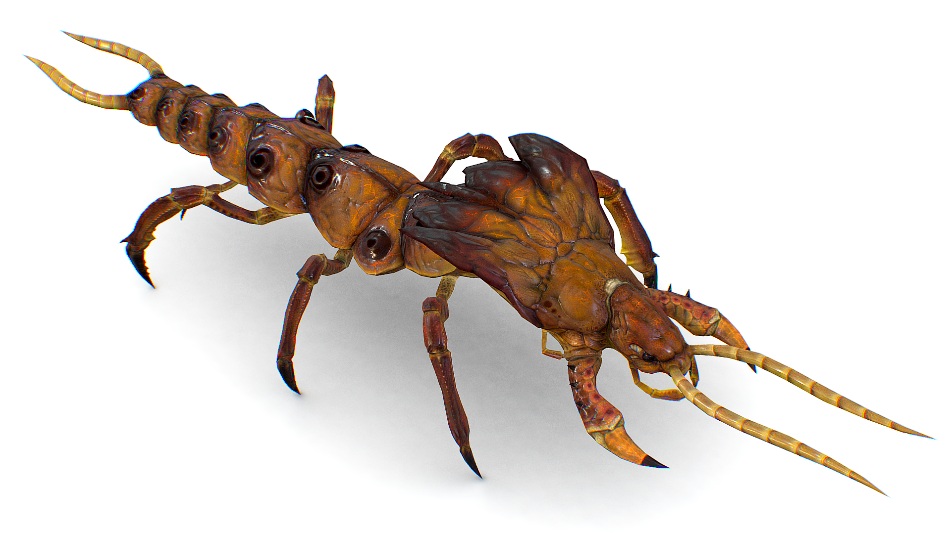 Scolopendra Insect - Giant Centipede - Tropical Animal Monster | Fab