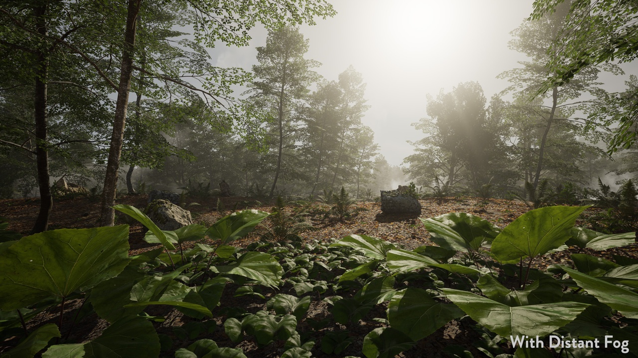 Media 1 for listing MAE Distant Fog