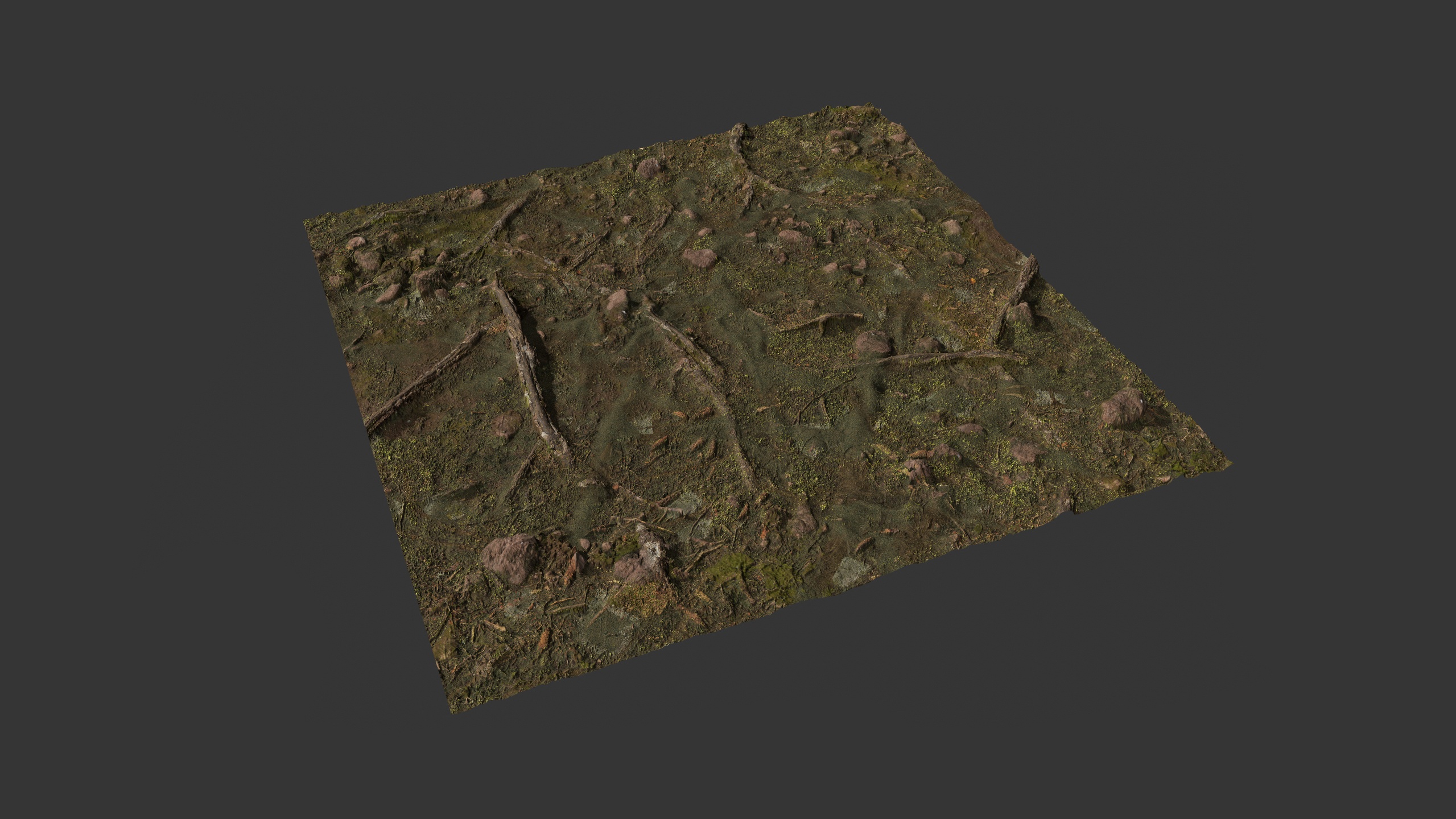 Media 1 for listing Forest Floor 8K PBR Texture