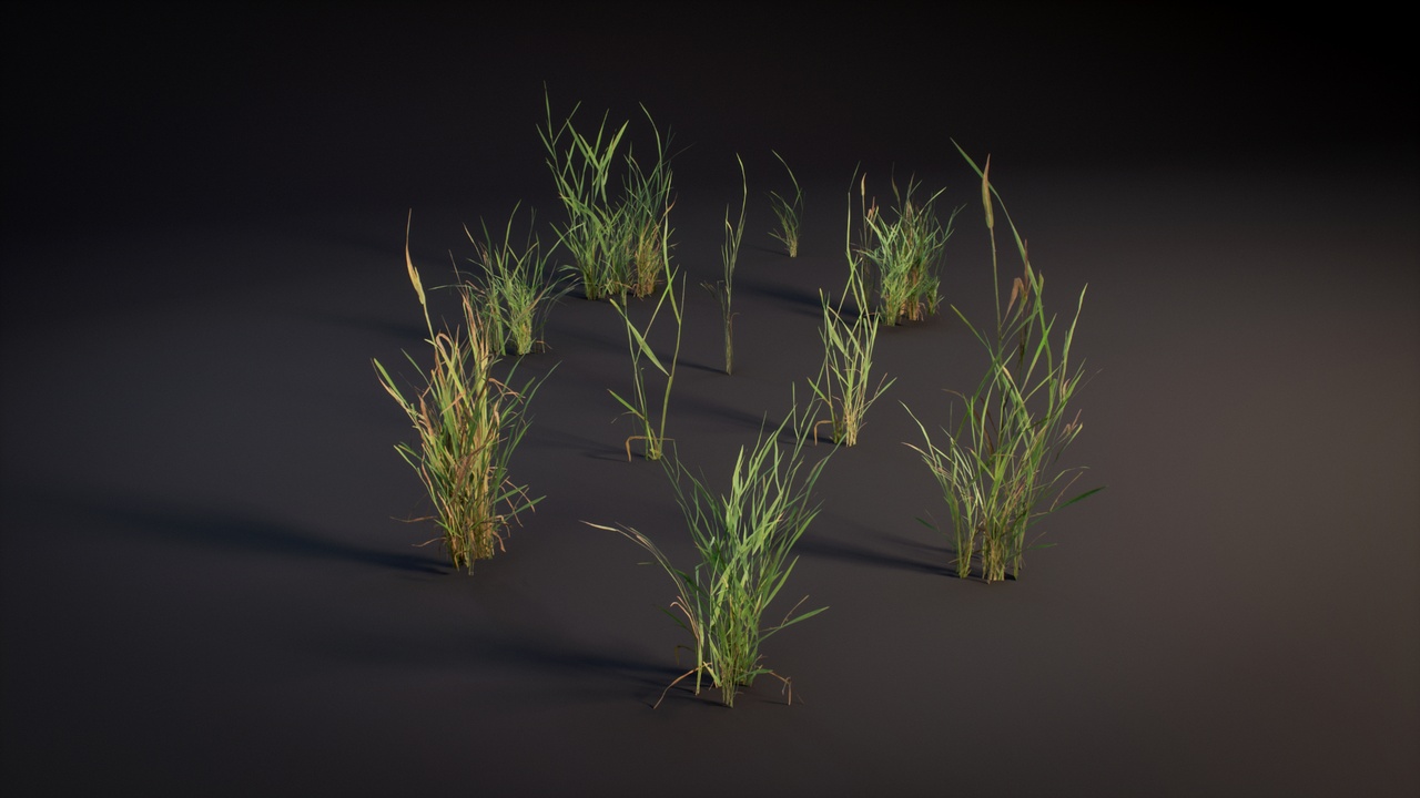 Media 1 for listing Wild Meadow Vegetation – Wild oat grass - Low Poly, Wind System, 3 LODs