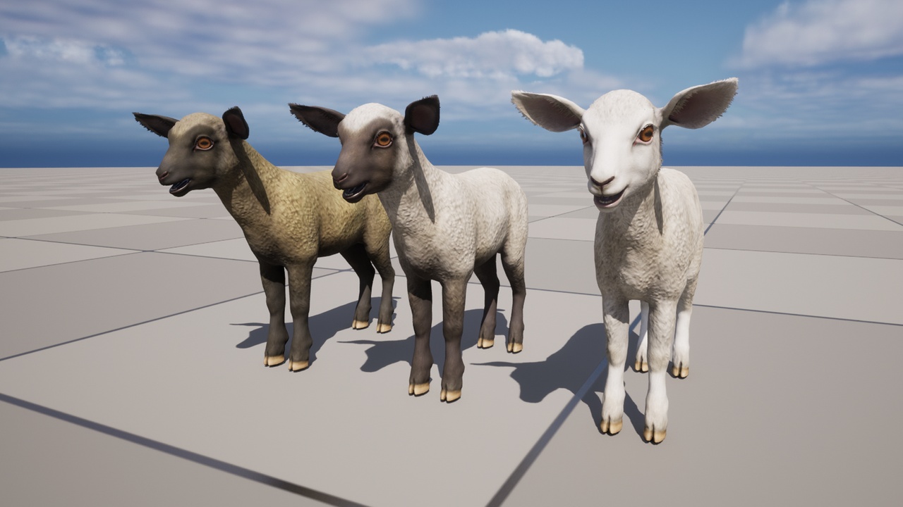 Media 1 for listing Lamb
