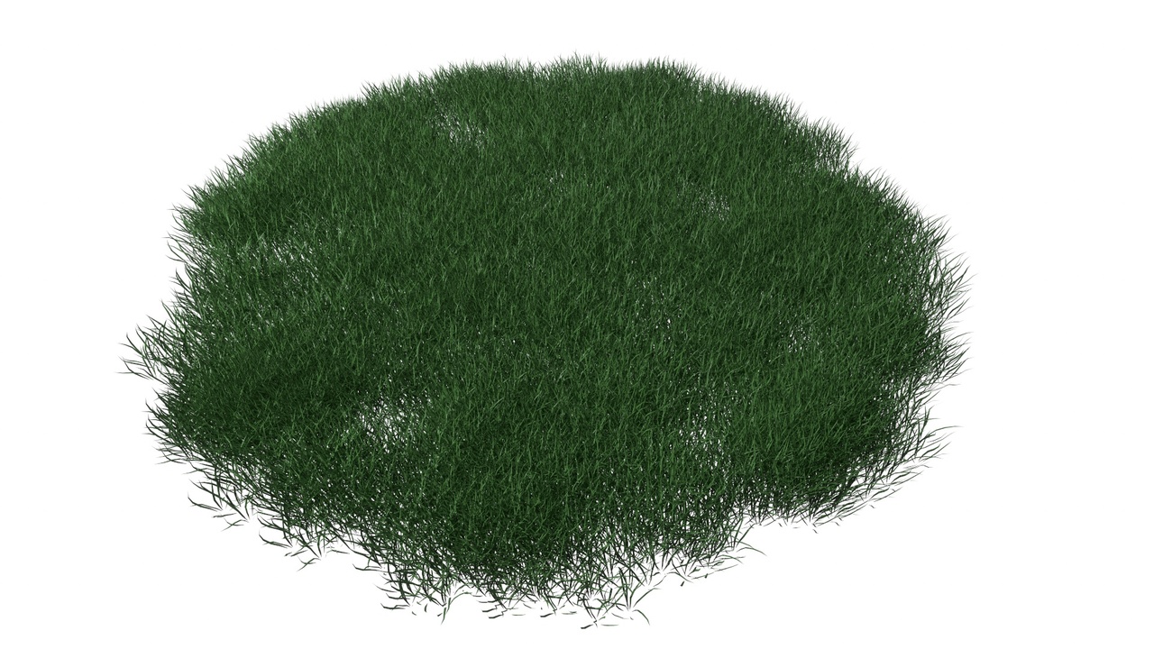 Media 1 for listing Realistic Lawn Grass Patch