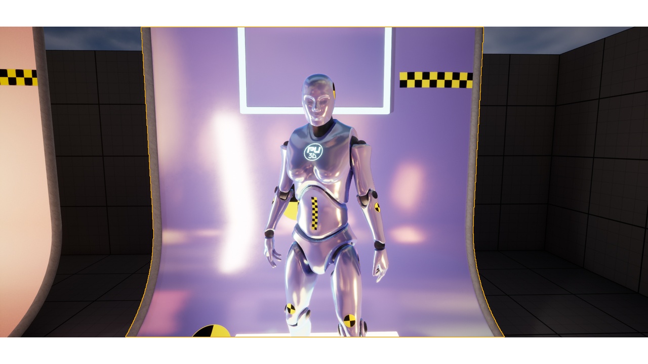 Media 1 for listing Crash Test Dummies