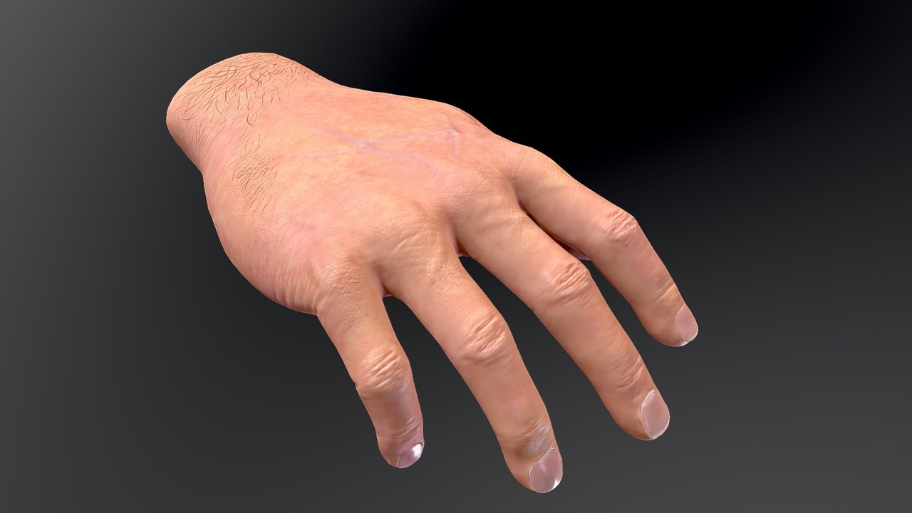 Media 1 for listing First Person Hand - Rigged