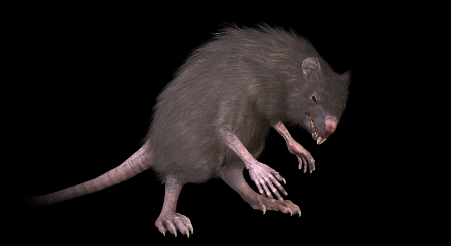 Wed Rats WereRat | Fab