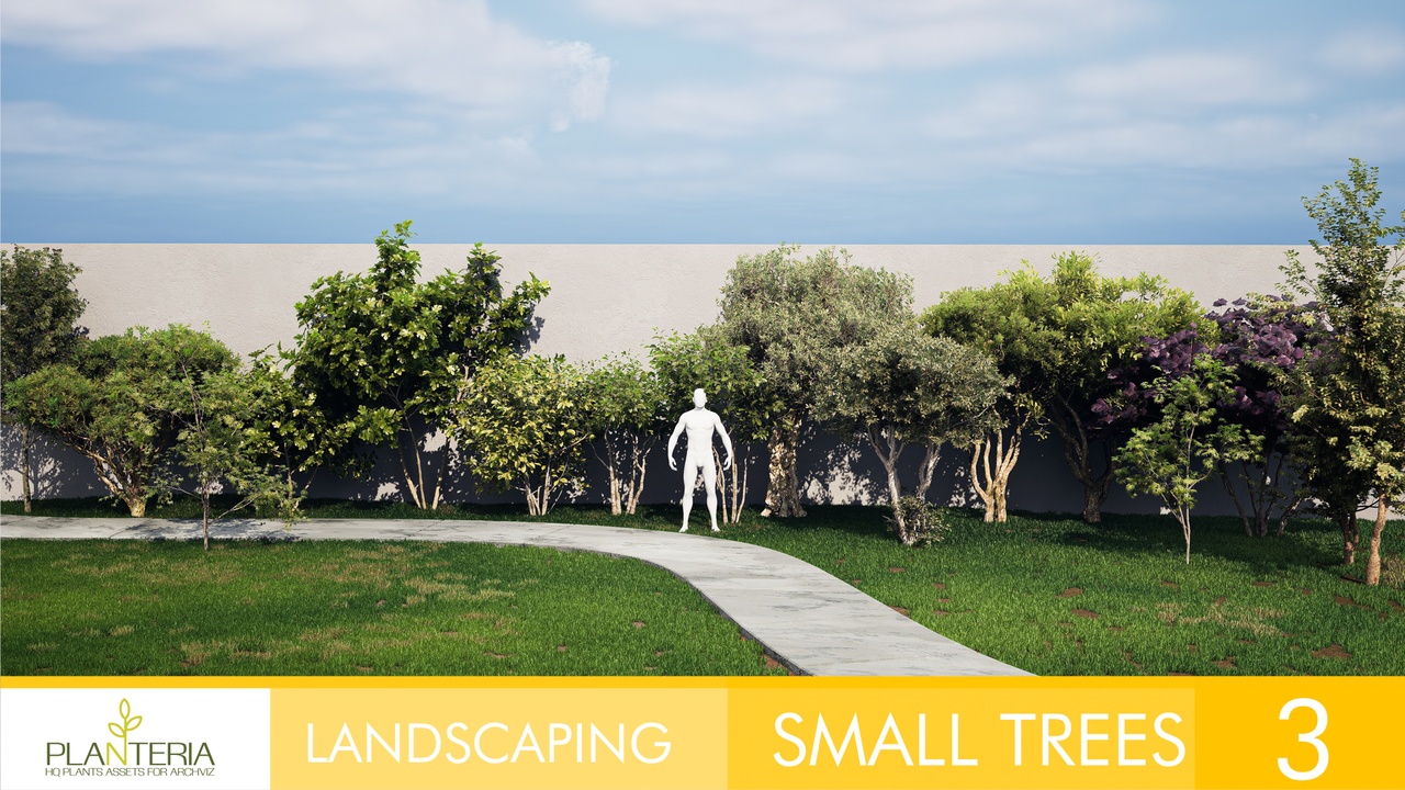 Multimedia 1 para anuncio Landscaping Small Trees 3