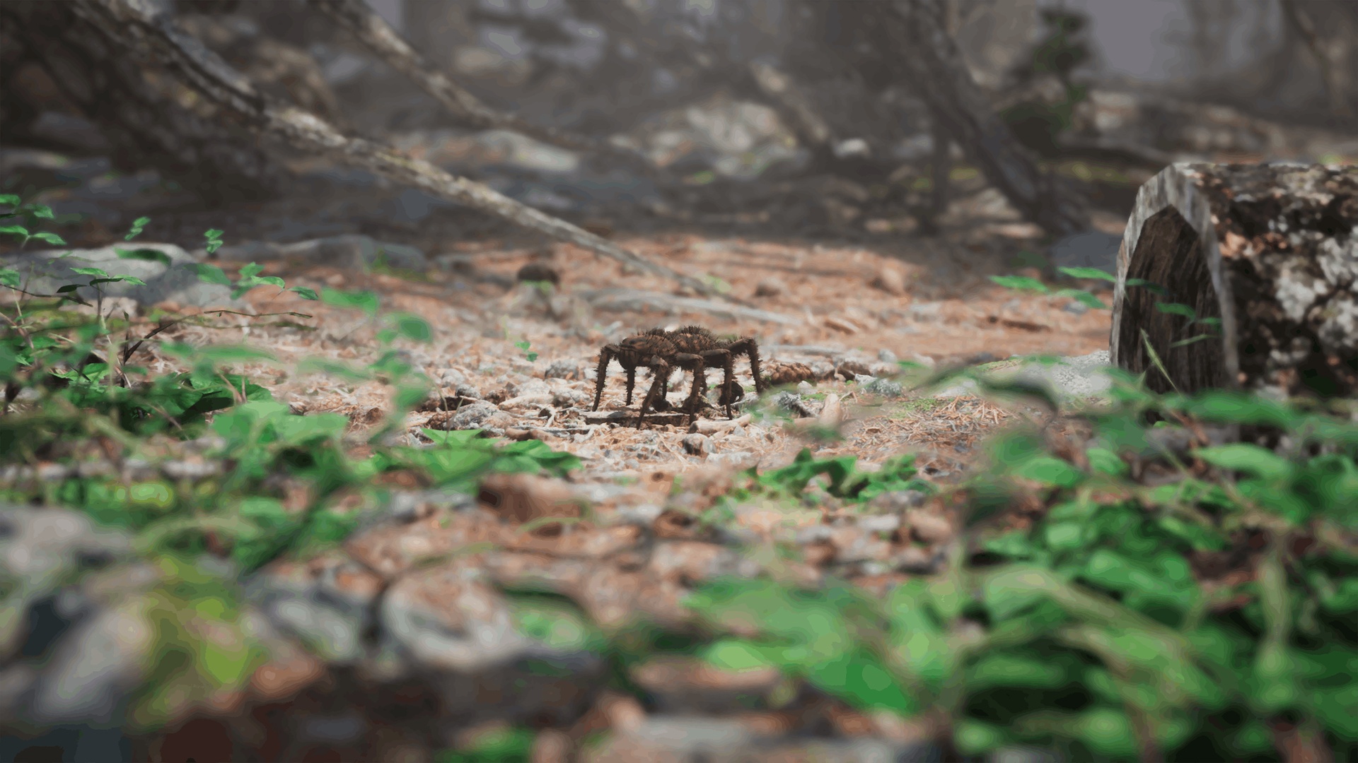 Media 1 for listing 3D Navigation Pawns