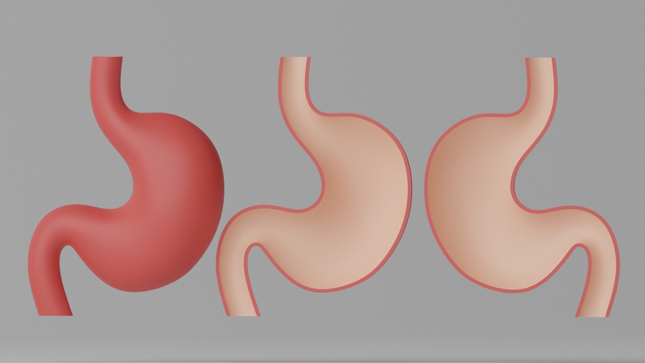 Media 1 for listing Cartoon Stomach Stylized