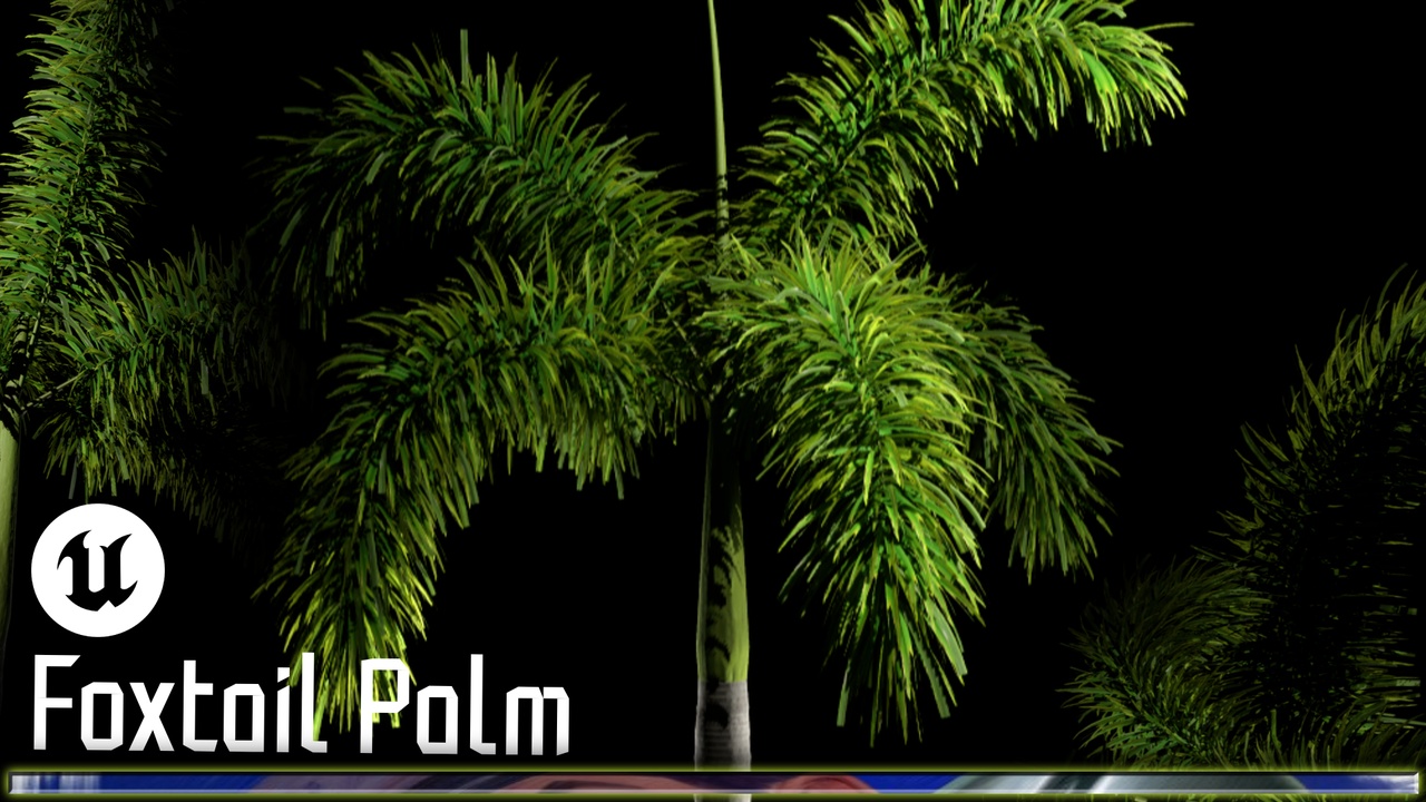Media 1 for listing Foxtail Palm Tree 3D Model - UE5 Nanite