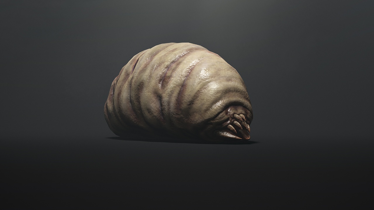 Land Larva1 제품 등록을 위한 미디어 1개