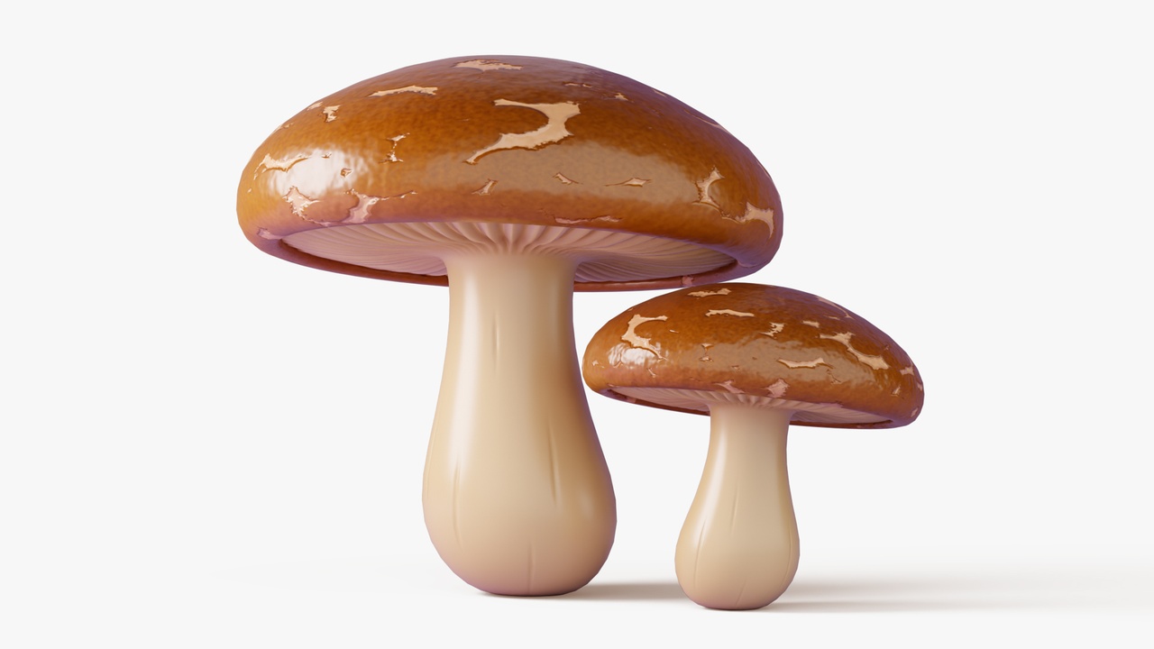 Media 1 for listing Shiitake Mushrooms
