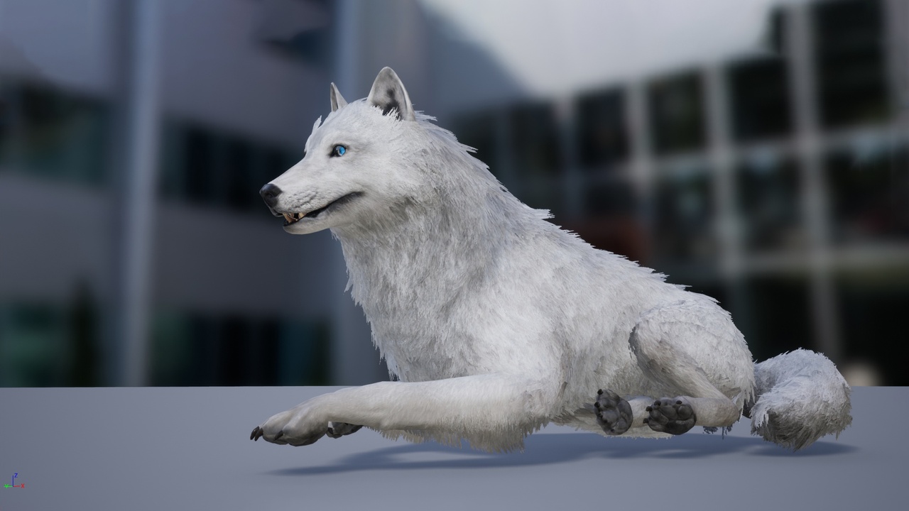 Media 1 for listing Realistic Wolf