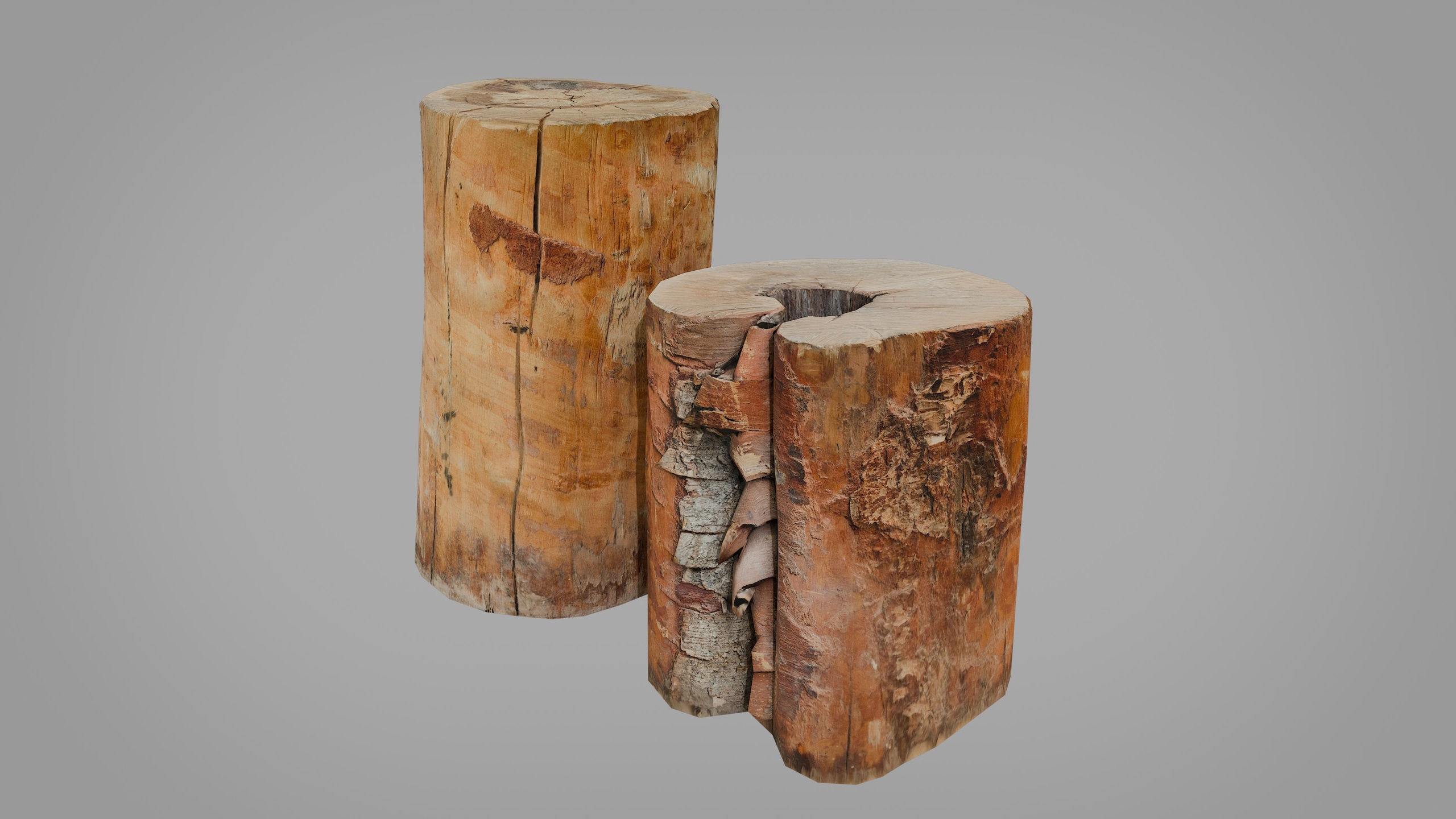 Media 1 for listing Birch Firewood Log