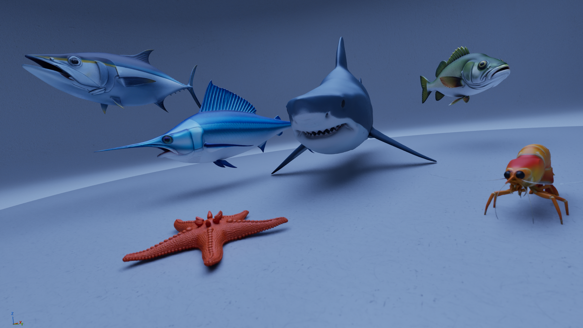 Ultra High-Res Marine Life Pack – 6 Detailed Sea Creatures | Fab