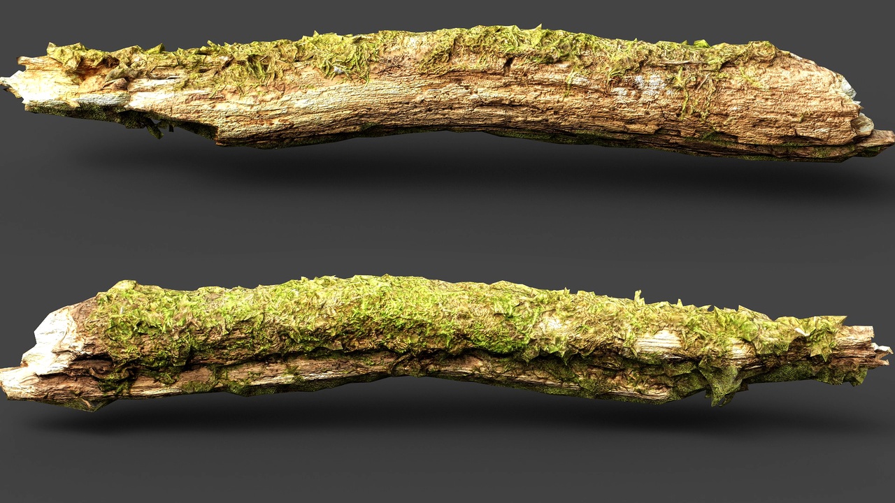 Media 1 for listing branch broken tree wood debris pt2 PBR photogrammetry
