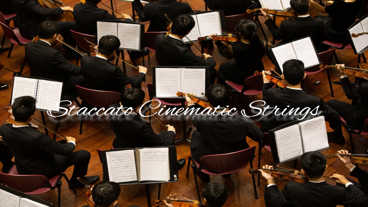 Media 1 for listing Orchestral Cinematic Strings Staccato Collection