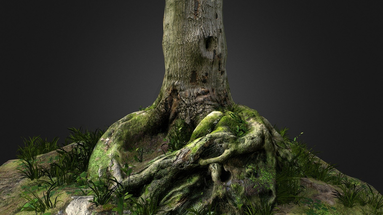 Media 1 for listing Mossy Maple Tree