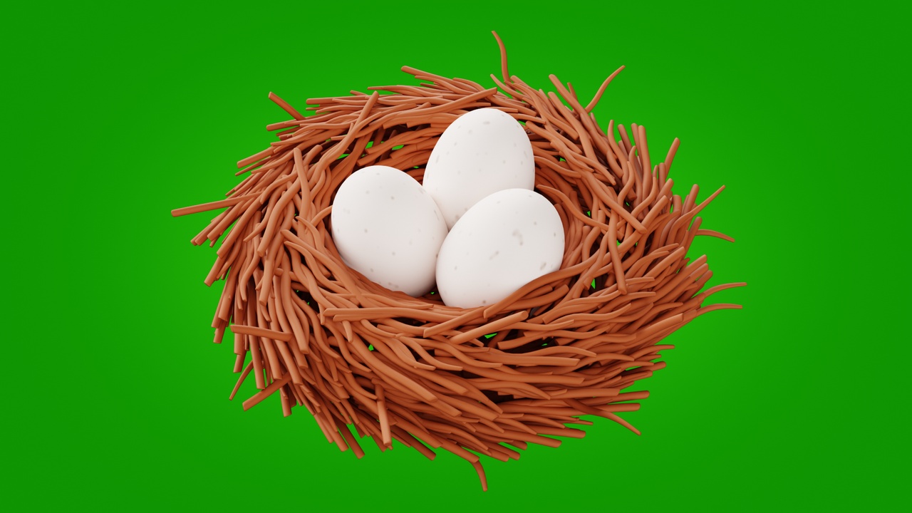 Media 1 for listing Bird Nest