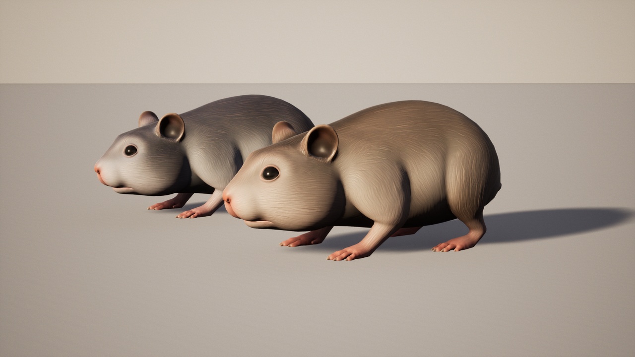 Media 1 for listing Hamster