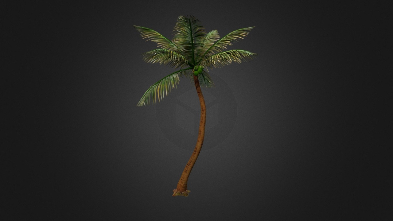 Media 1 for listing Coconut Tree
