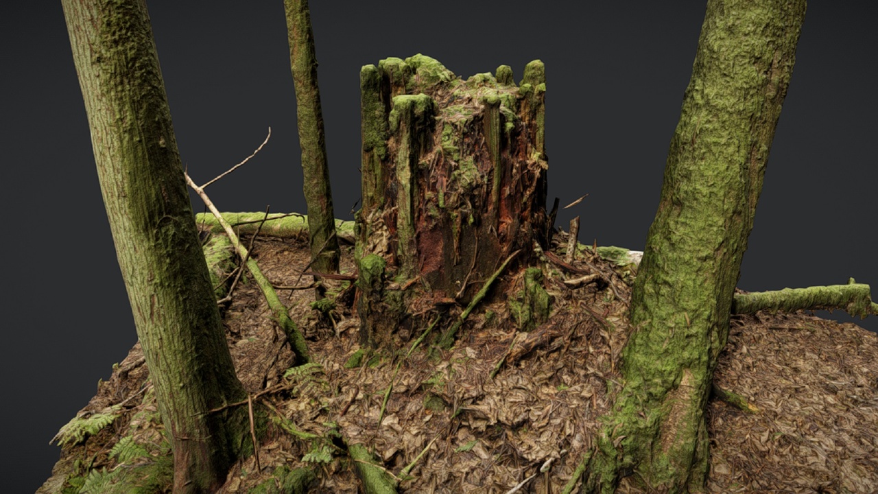 Media 1 for listing Stump 3