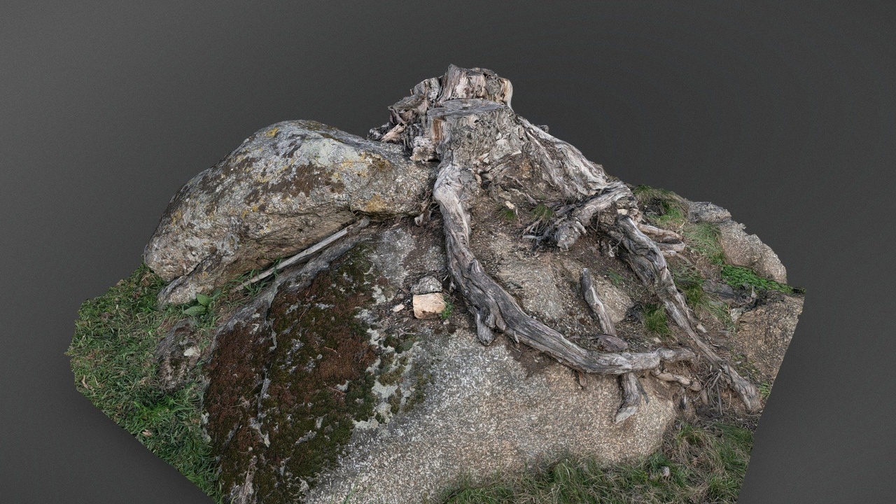 Медиа 1 для объявления Forest pine boulder
