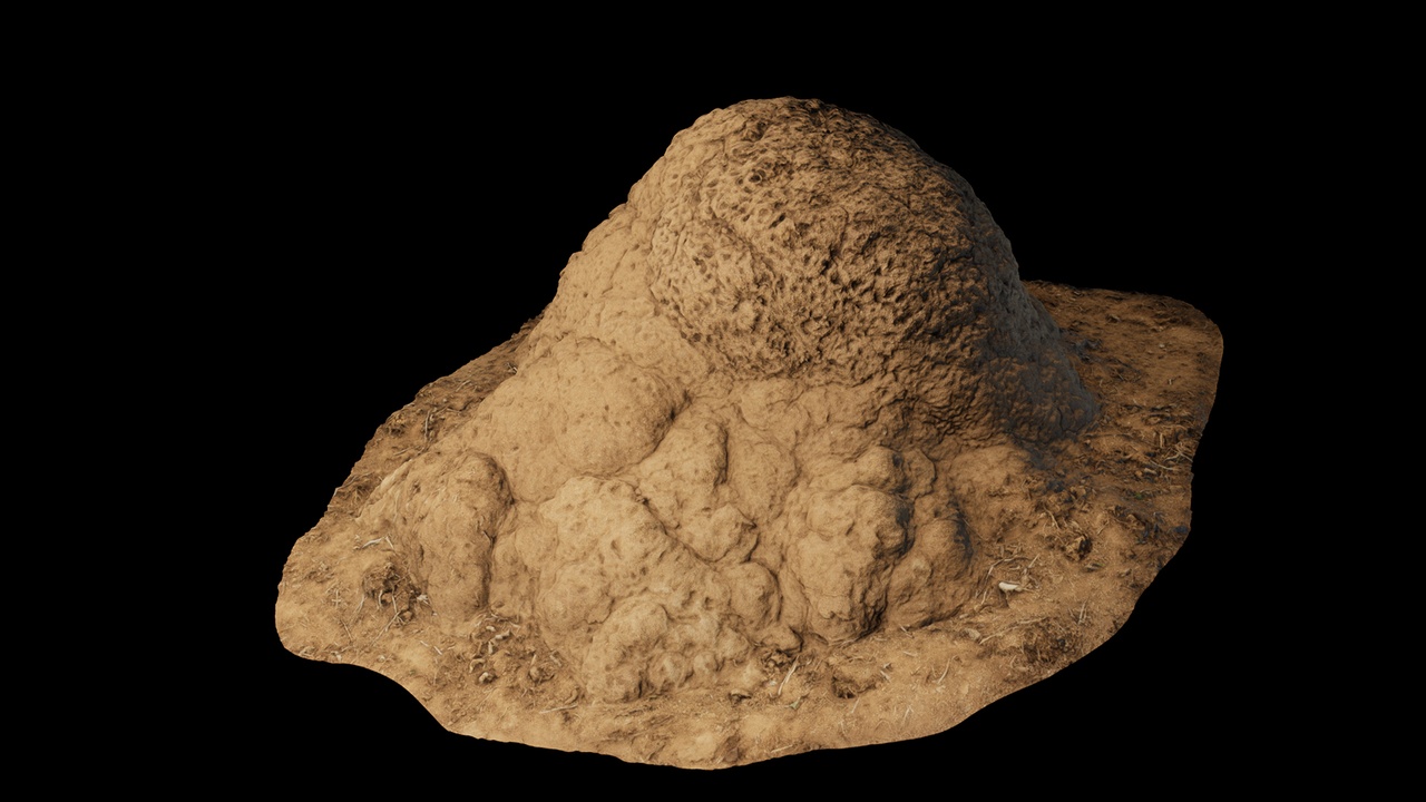 Media 1 for listing Termite Mounds - Vol 1