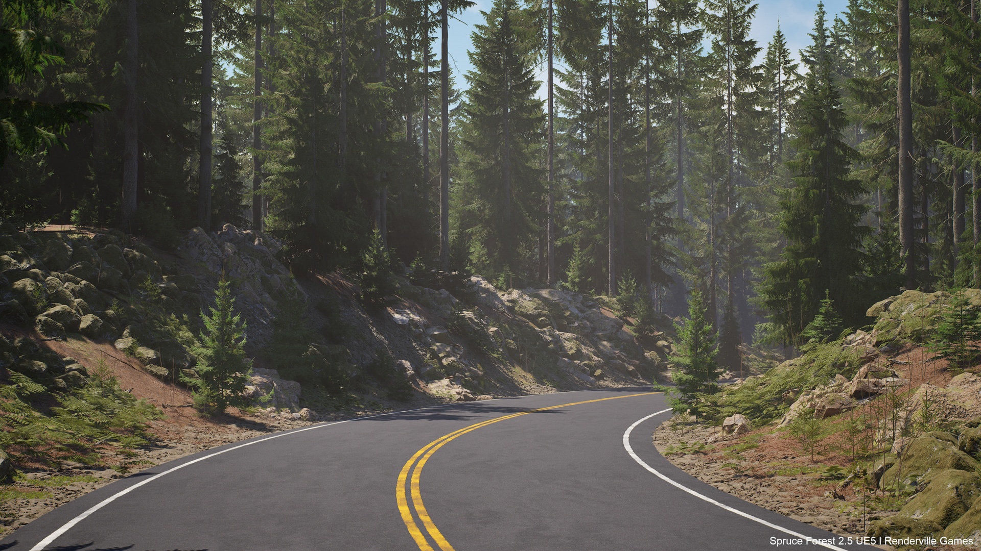 Media 1 for listing Spruce Forest