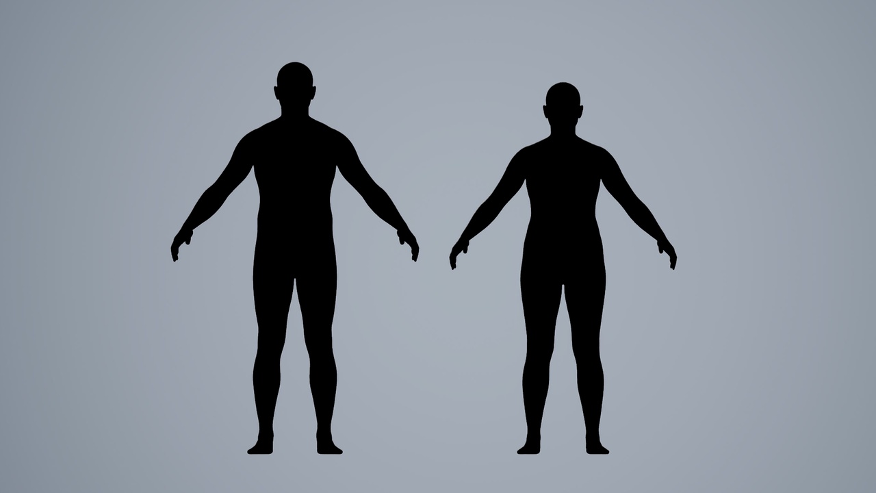 Media 1 for listing MetaHuman Clothing Construction Presets, Set of 2