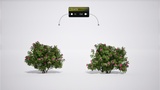 Asset image