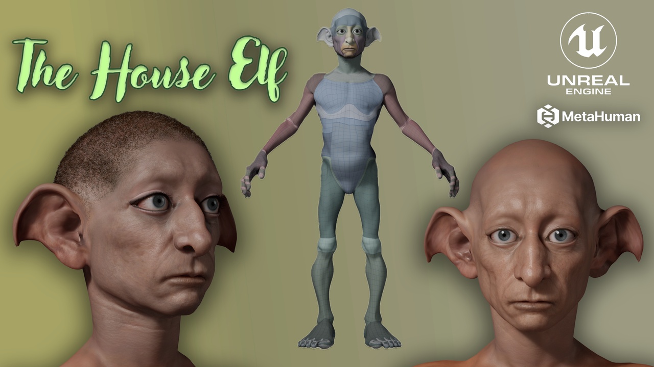 Media 1 for listing The House Elf - Editable Metahuman Character