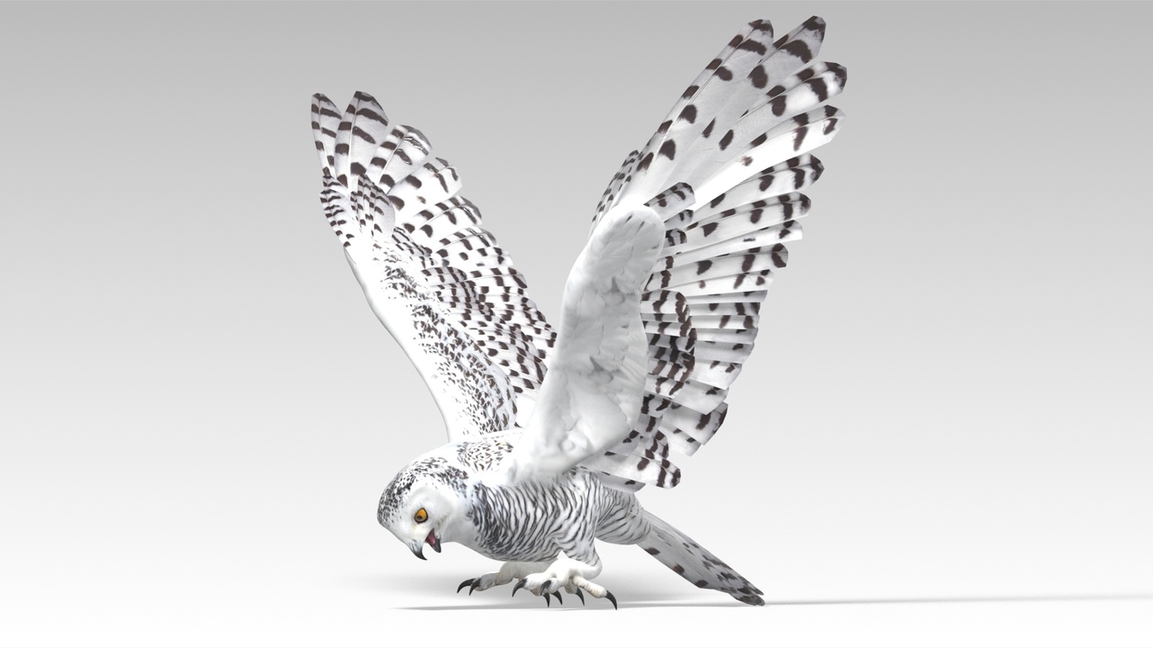 Media 1 for listing Snowy Owl - Animated Low Poly 3D Model