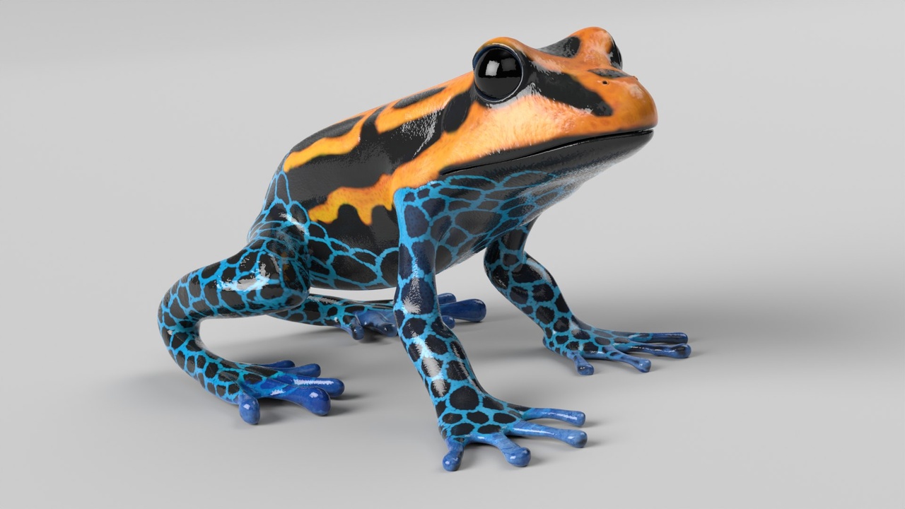 Media 1 for listing Poison Dart Frog Animated