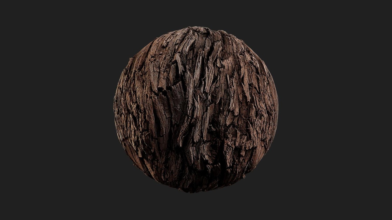 Media 1 for listing Desert American Tree Bark Wood Rough 01