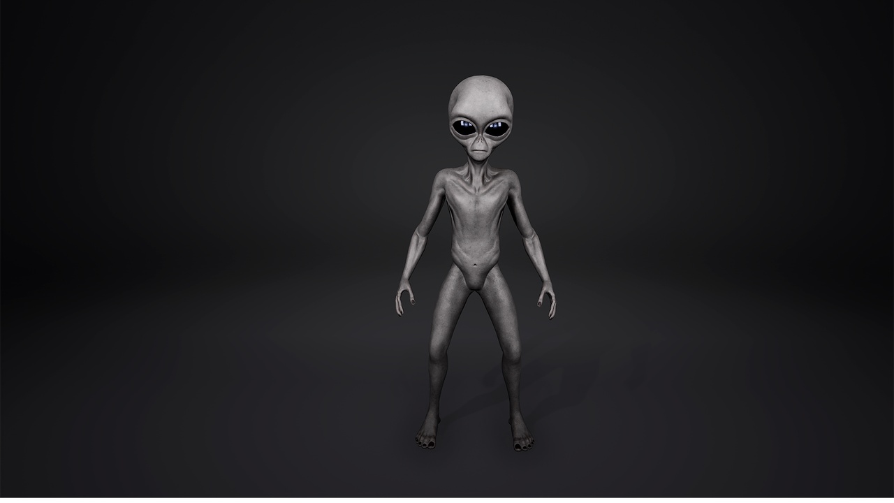 Media 1 for listing Grey Alien 1