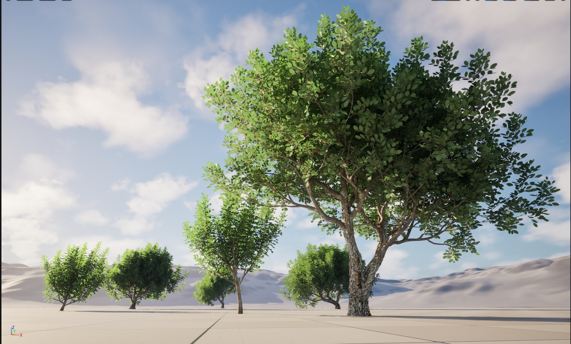 Media 1 for listing Wind UE5 Plants Tree - Ceratonia siliqua - carob tree (Highpoly+Low Poly)